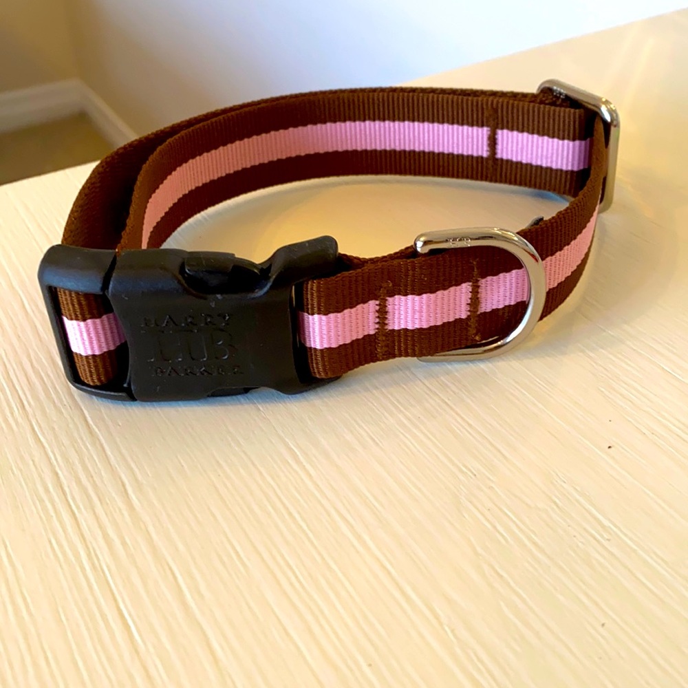 dog collar